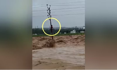 ಪ್ರಾಣ ರಕ್ಷಣೆಗಾಗಿ ವಿದ್ಯುತ್ ಕಂಬವೇರಿದ ವ್ಯಕ್ತಿ!