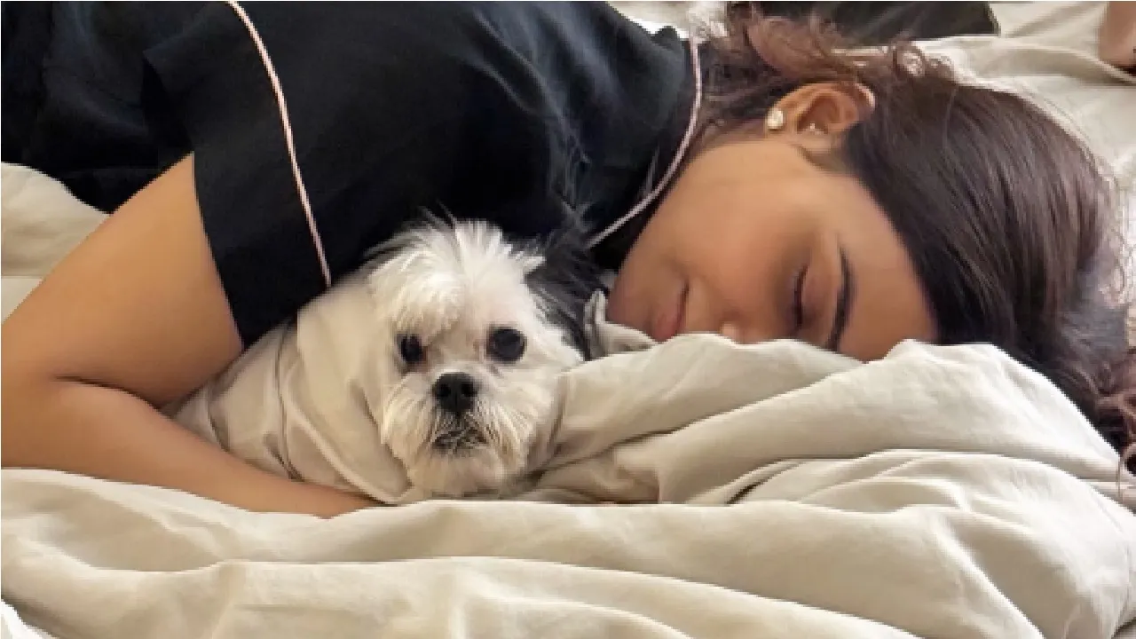 Samantha Ruth Prabhu: ಸಮಂತಾ-ನೀಡಿಮೋರ್ ಡೇಟಿಂಗ್ ಮಾಡುತ್ತಿರುವುದು ನಿಜವೇ? ಏನು ಹೇಳುತ್ತಿವೆ ಈ ಚಿತ್ರಗಳು? - Image 6