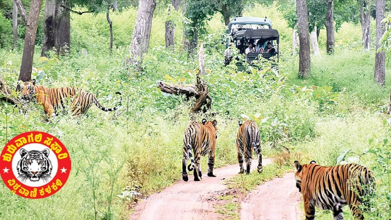 ಸಫಾರಿ ಪ್ರಾಣಿಸಂಪತ್ತಿನ ಅರಿವಿನ ಕಣಜ