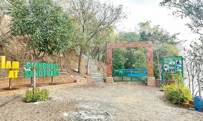 Safari: ಬಿಸಿಲ ನಾಡಲ್ಲಿ ಈಗ ʼಜಂಗಲ್ ಸಫಾರಿʼ ಸದ್ದು  !