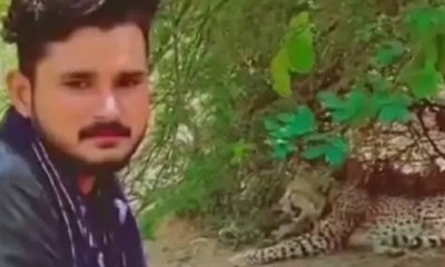 ಮರಿಗಳ ಜತೆ ಇದ್ದ ಚಿರತೆ ಬಳಿ ಹೋಗಿ ವಿಡಿಯೊ ಮಾಡಿದ ಭೂಪ