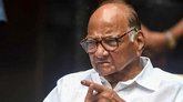 ಎನ್ ಡಿಎಗೆ ಸಾಥ್ ನೀಡುತ್ತಾರೆಯೇ ಶರದ್ ಪವಾರ್ ?