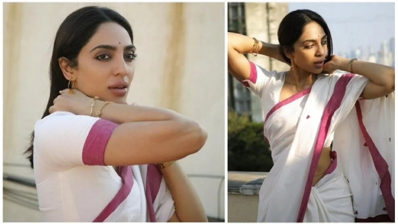 Cotton Sarees Trend: ಬಿಸಿಲಿಗೆ ಪರ್ಫೆಕ್ಟ್  ಲುಕ್ ನೀಡುವ ಮೃದುವಾದ ಕಾಟನ್ ಸೀರೆಗಳು - Image 2