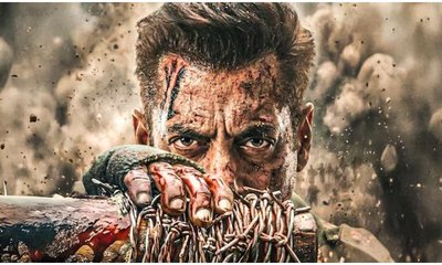 Salman Khan: ‘ಮಾತೃಭೂಮಿ’ ಚಿತ್ರವು ಈ ವರ್ಷ ರಿಲೀಸ್ ಆಗೋದು ಡೌಟ್!