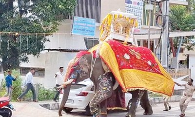 ಆನೆಗಳ ಬಳಕೆ ನಿಲ್ಲಿಸಿ