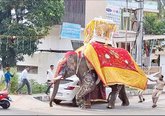 ಆನೆಗಳ ಬಳಕೆ ನಿಲ್ಲಿಸಿ