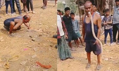 ಕೈಯಿಂದಲ್ಲ, ಬಾಯಿಯಿಂದ ನಾಗರಹಾವನ್ನು ಹಿಡಿದ ವ್ಯಕ್ತಿ