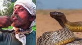 ಹಾವಿನೊಂದಿಗೆ ಸರಸವಾಡಲು ಹೋಗಿ ಐಸಿಯುಗೆ ಸೇರಿದ ಭೂಪ