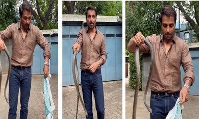 ಹಾವು ಹಿಡಿದ ಸೋನು ಸೂದ್... ಇದು ಸಿನಿಮಾ ದೃಶ್ಯವಲ್ಲ!