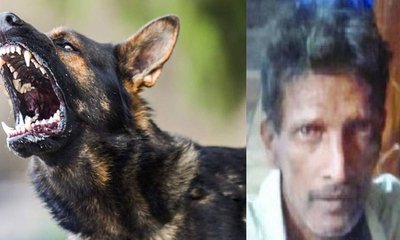 ಬೀದಿ ನಾಯಿಗೆ ಮತ್ತೊಬ್ಬ ಬಲಿ, ಶವದ ರಕ್ತ ನೆಕ್ಕುತ್ತಾ ಕುಳಿತಿದ್ದ ನಾಯಿ!