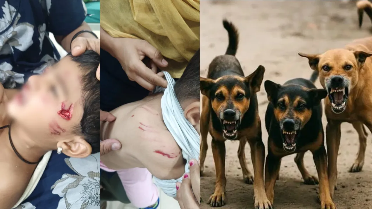 street dog Attack: ಐದು ಮಕ್ಕಳಿಗೆ ಯದ್ವಾತದ್ವಾ ಕಚ್ಚಿ ಗಾಯಗೊಳಿಸಿದ ರಕ್ಕಸ ಬೀದಿ ನಾಯಿಗಳು