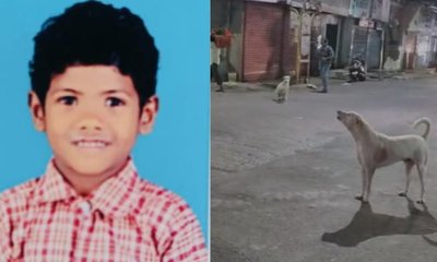 ಬೀದಿ ನಾಯಿ ದಾಳಿ: ಬಾಲಕ ಸಾವು