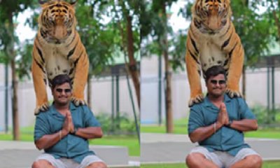 ಇದು ಸಾವಿನ ಜೊತೆ ಸರಸ! ಹುಲಿಯ ಜೊತೆ ಭರ್ಜರಿ ಪೋಸ್‌ ಕೊಟ್ಟ ಭೂಪ