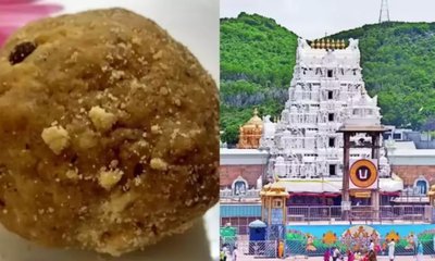 ಕಳಪೆ ತುಪ್ಪ ಬಳಸಿ 68 ಲಕ್ಷ ಕೆಜಿ ತಿರುಪತಿ ಲಡ್ಡು ತಯಾರಿ