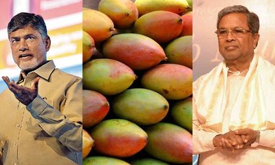ಕರ್ನಾಟಕದ ತೋತಾಪುರಿಗೆ ಆಂಧ್ರ ನಿಷೇಧ, ತೆರವುಗೊಳಿಸಲು ನಾಯ್ಡುಗೆ ಸಿಎಂ ಪತ್ರ