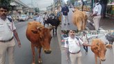 ಬೆಂಗಳೂರಿನಲ್ಲಿ ಹಸುಗಳಿಂದ ಟ್ರಾಫಿಕ್ ಜ್ಯಾಮ್!