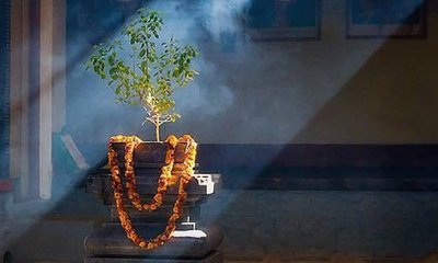 ಇಂದು ನಾಡಿನೆಲ್ಲೆಡೆ ತುಳಸಿ ಹಬ್ಬದ ಸಂಭ್ರಮ