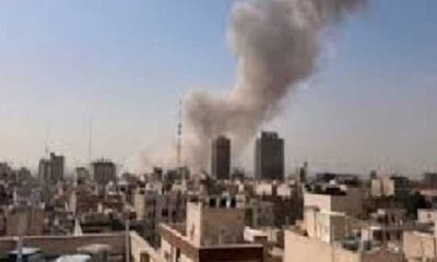 Vishweshwar Bhat Column: ಯುದ್ಧ ಮತ್ತು ಸಾಕುಪ್ರಾಣಿ