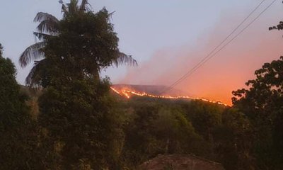 ಕುದುರೆಮುಖ ರಕ್ಷಿತಾರಣ್ಯದಲ್ಲಿ ಭಾರಿ ಕಾಳ್ಗಿಚ್ಚು, ಶೋಲಾ ಕಾಡು ಧಗಧಗ