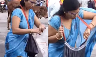 ಪುರುಷರ ಒಳ ಉಡುಪನ್ನು ತರಕಾರಿ ಚೀಲವಾಗಿ ಪರಿವರ್ತಿಸಿದ ಮಹಿಳೆ