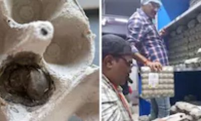 ಬ್ಲಿಂಕಿಟ್ ನಲ್ಲಿ ಆರ್ಡರ್ ಮಾಡಿದ್ದ ಮೊಟ್ಟೆಯಲ್ಲಿ ಹುಳು ಪತ್ತೆ