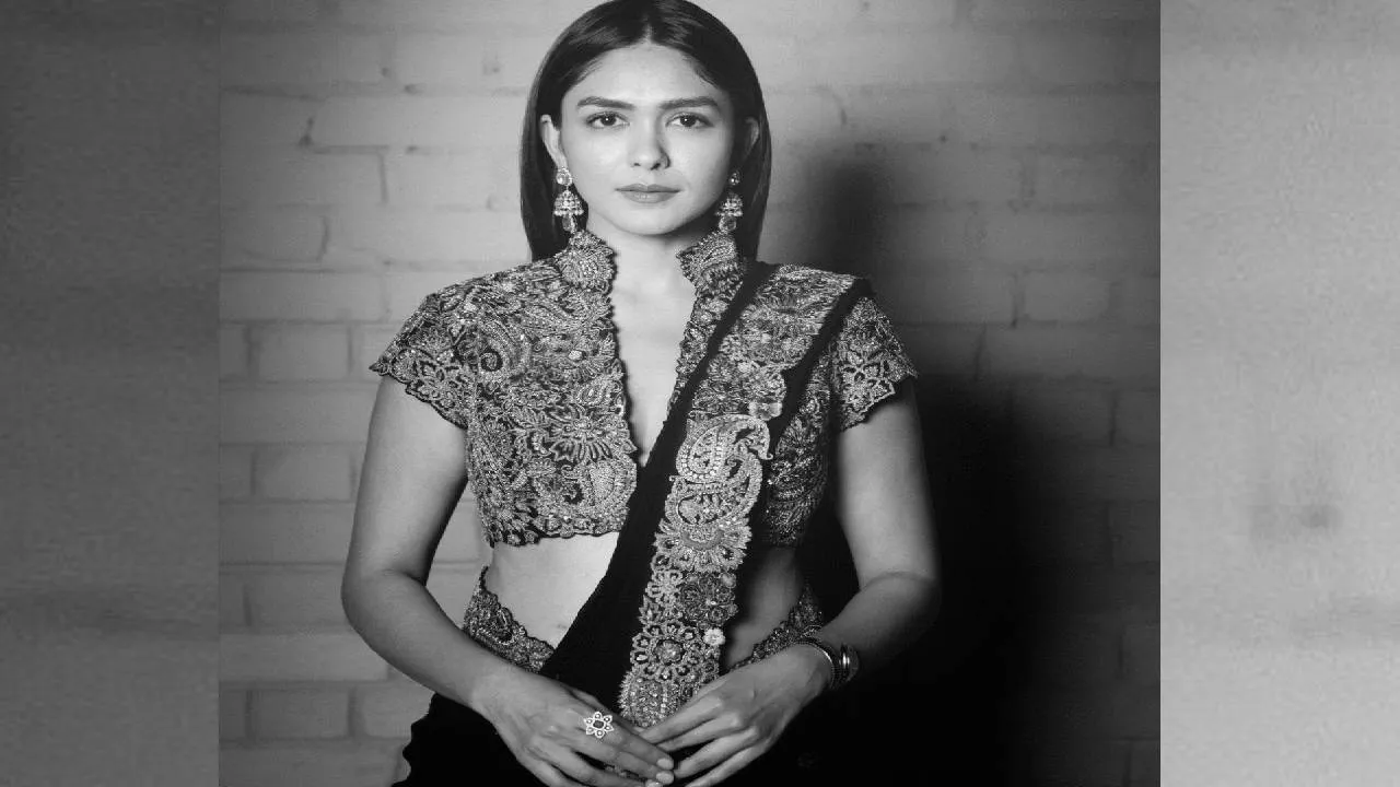zardosi saree