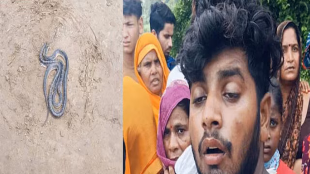 ಪತಿಯ ಬೆನ್ನತ್ತಿದ್ದ ಹಾವಿಗೆ ಪತ್ನಿ ಮಾಡಿದ್ದೇನು?