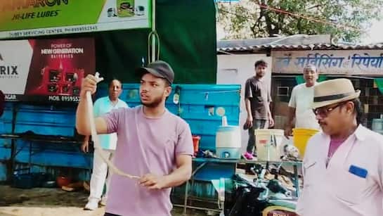 ಬೈಕ್‌ನ ಪೆಟ್ರೋಲ್ ಟ್ಯಾಂಕ್‌ ಅಡಿಯಲ್ಲಿ ಅವಿತಿತ್ತು ವಿಷಕಾರಿ ಹಾವು; ಅರಿವಿಲ್ಲದೆ 2 ಗಂಟೆ ಸುತ್ತಾಡಿದ ವಿದ್ಯಾರ್ಥಿ ಪಾರಾಗಿದ್ದೇಗೆ?