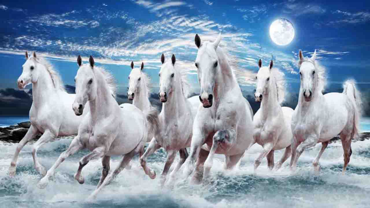 ಮನೆಯಲ್ಲಿ ಈ ಕುದುರೆ ಫೋಟೋ ಇಟ್ರೆ ನೆಗೆಟಿವ್ ಎನರ್ಜಿ ಬರಲ್ಲ