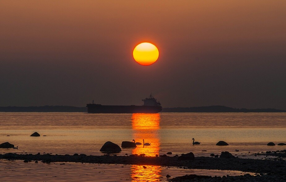 ಅಪ್ಪಿ ತಪ್ಪಿಯೂ ಸಂಜೆಯಾದ ಮೇಲೆ ಈ ಕೆಲಸಗಳನ್ನು ಮಾಡಬೇಡಿ