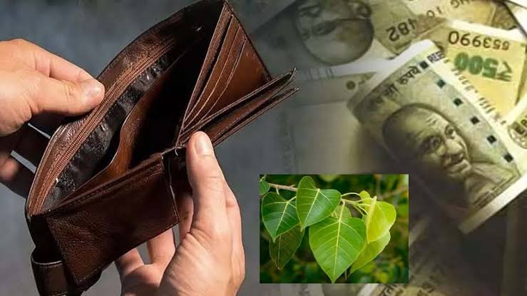 ಪರ್ಸ್ ಗೂ ಇದೆ ಸರಳ ವಾಸ್ತು