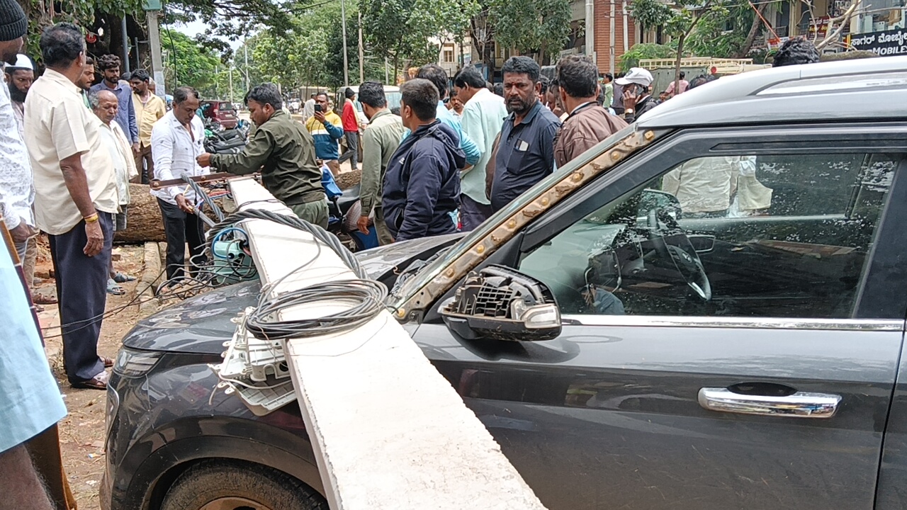 ಜನಸಂದಣಿಯ ಬಿಬಿರಸ್ತೆಯಲ್ಲಿ ಧರಾಘಾತವಾದ ಬೃಹತ್ ಮರ