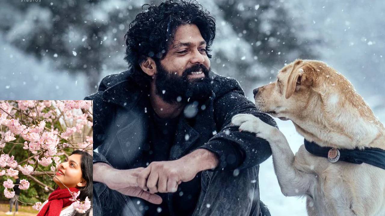 ಚೀನಾದಲ್ಲಿ ಸದ್ದು ಮಾಡುತ್ತಿದೆ ರಕ್ಷಿತ್ ಶೆಟ್ಟಿಯ ʼ777 ಚಾರ್ಲಿʼ ಚಿತ್ರ