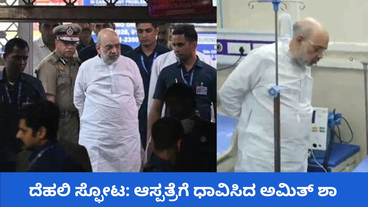 ದೆಹಲಿಯಲ್ಲಿ ಸ್ಫೋಟಗೊಂಡ ಕಾರಿನ ಮಾಲಕರಿಬ್ಬರ ಬಂಧನ