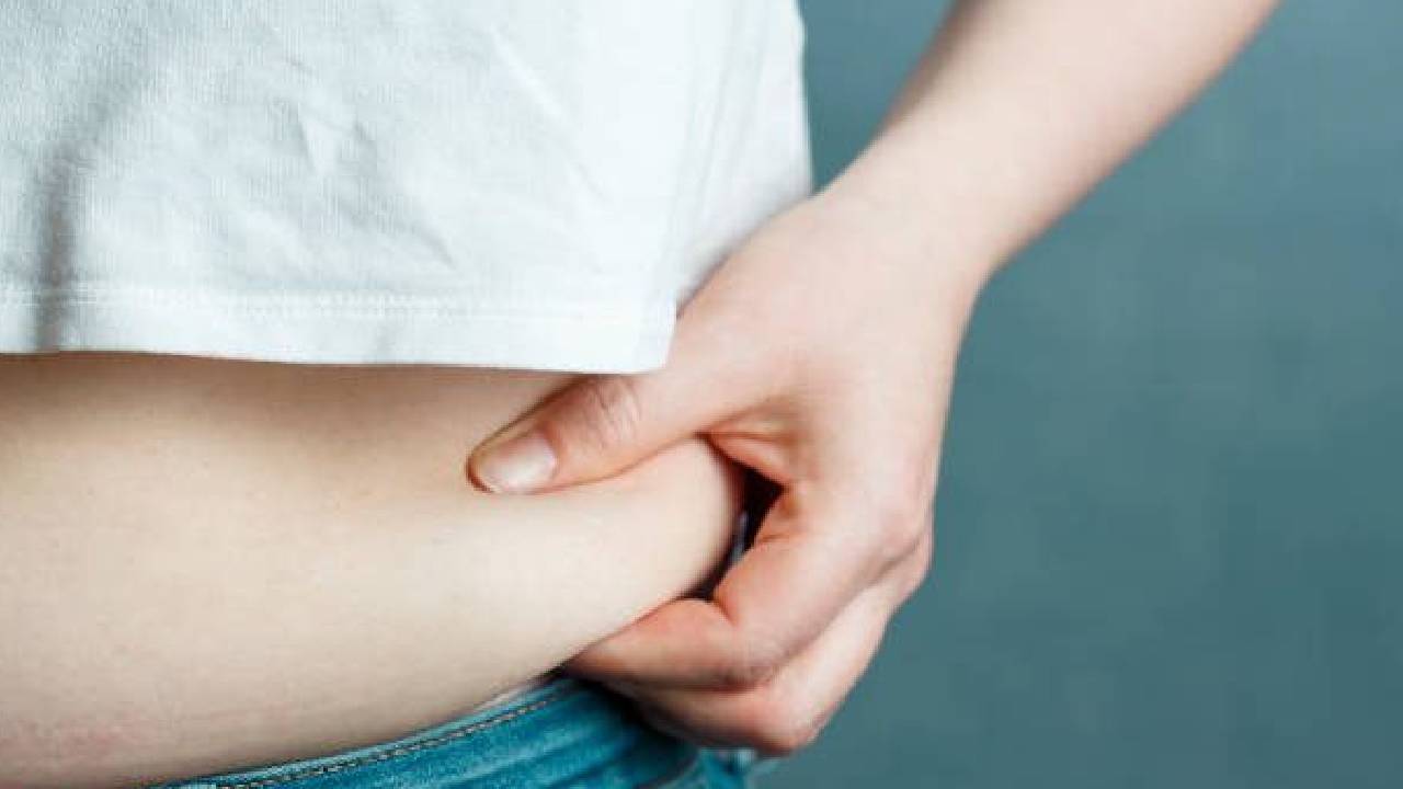 ದೇಹದ ಕೊಬ್ಬು ಇಳಿಸಲು ಹೀಗೆ ಮಾಡಿ