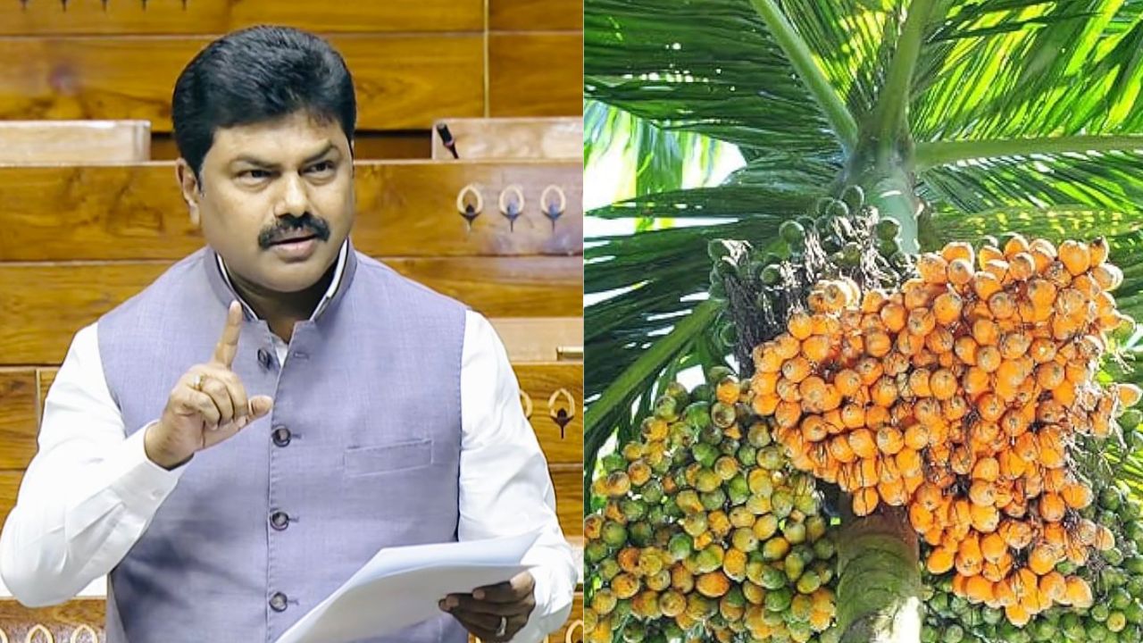 ಅಡಿಕೆ ಬೆಳೆಗಾರರ ಸಂಕಷ್ಟ ಪರಿಹರಿಸಿ; ಕೇಂದ್ರಕ್ಕೆ ಬಿ.ವೈ.ರಾಘವೇಂದ್ರ ಮನವಿ