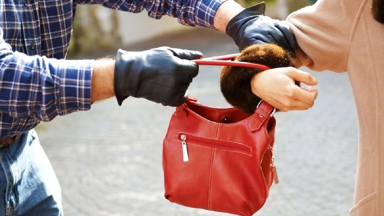 ಮಹಿಳೆಯ ಬ್ಯಾಗ್‌ಗೆ ಸ್ಕೆಚ್‌ ಹಾಕಿದ ದುಷ್ಕರ್ಮಿಗಳಿಗೆ ಆಗಿದ್ದೇನು? ವಿಡಿಯೊ ಫುಲ್‌ ವೈರಲ್‌