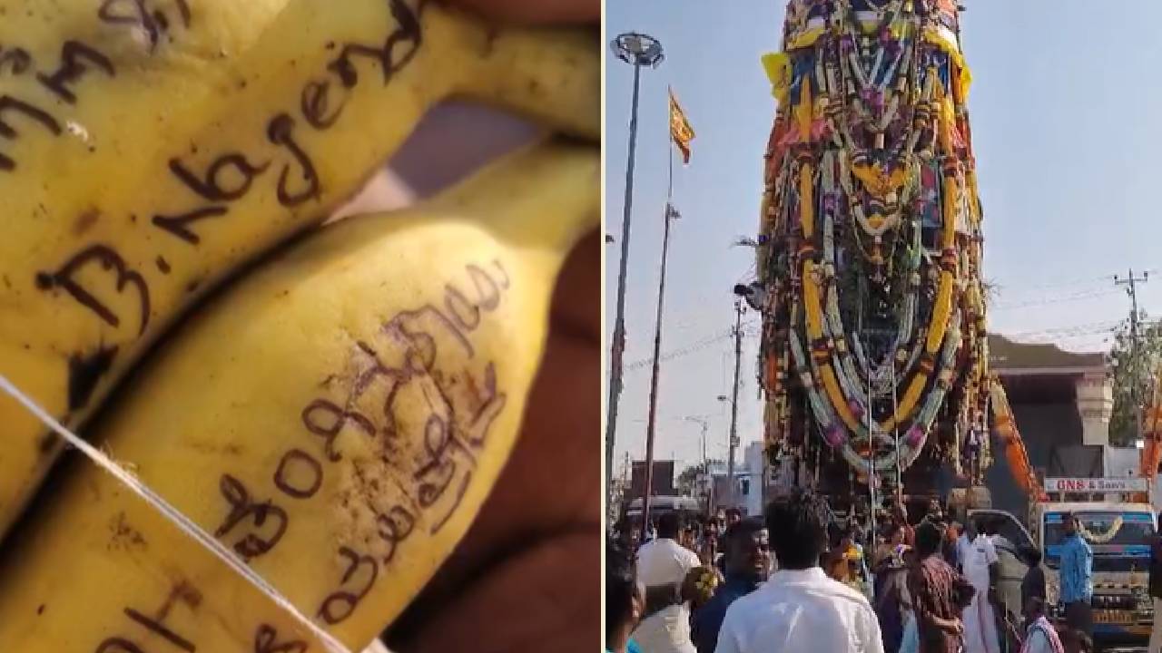 Ballari News: ಬಿ. ‌ನಾಗೇಂದ್ರಗೆ ಸಚಿವ ಸ್ಥಾನಕ್ಕಾಗಿ ರಥೋತ್ಸವದಲ್ಲಿ ಹರಕೆ ಹೊತ್ತ ಅಭಿಮಾನಿಗಳು
