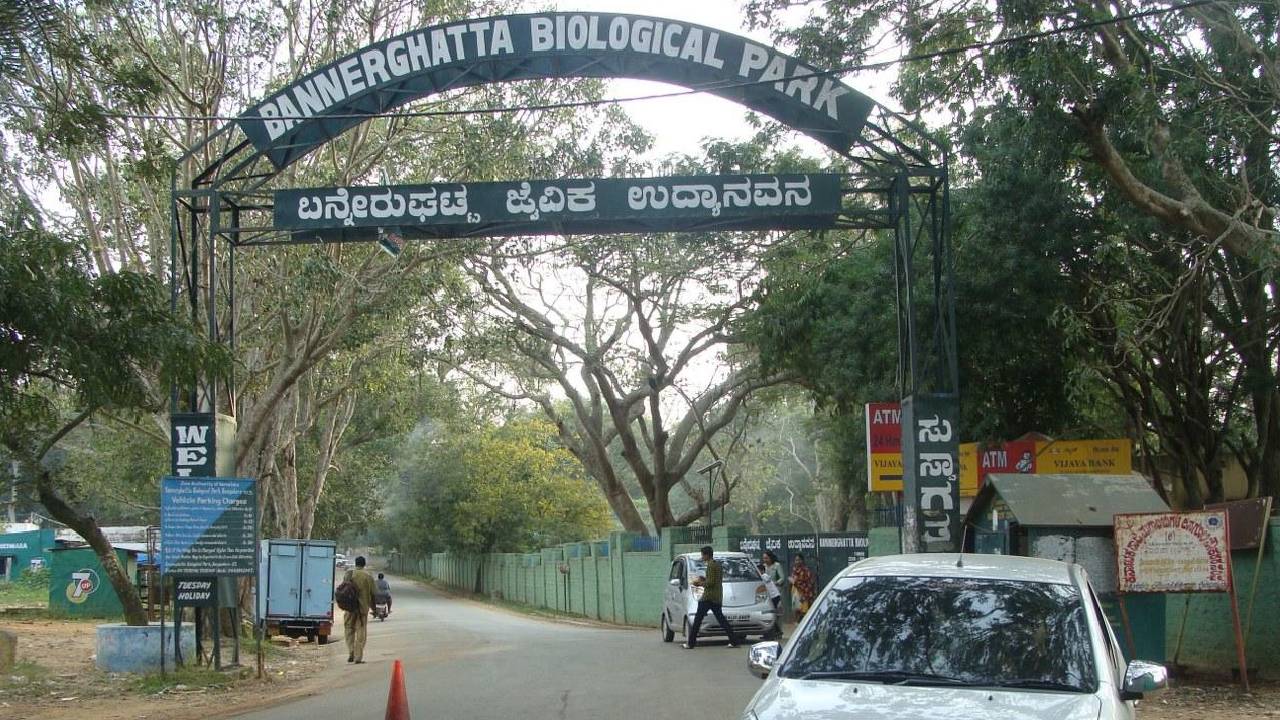 Snake Parks In India: ಹಾವುಗಳ ಬಗ್ಗೆ ತಿಳಿದುಕೊಳ್ಳಬೇಕೆ? ಇಲ್ಲಿದೆ ಭಾರತದ ಅತ್ಯುತ್ತಮ ಸ್ನೇಕ್ ಪಾರ್ಕ್ಗಳ ವಿವರ - Image 2