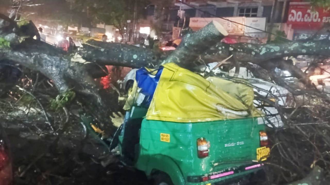 Bengaluru Rain: ಬೆಂಗಳೂರಿನಲ್ಲಿ ಮಳೆ ಅಬ್ಬರ; ಮರ ಬಿದ್ದು ಆಟೋ ಚಾಲಕ ಸ್ಥಳದಲ್ಲೇ ಸಾವು