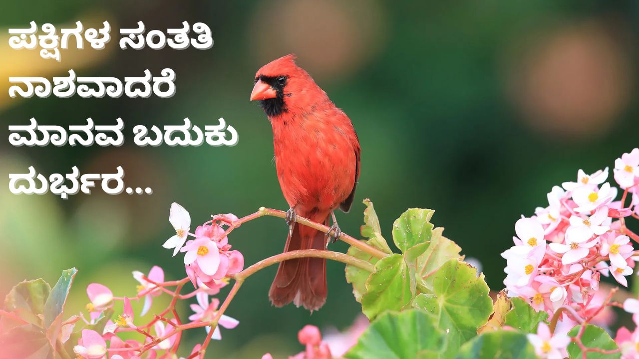 ಪಕ್ಷಿಗಳ ಸಂತತಿ ನಾಶವಾದರೆ ಮಾನವರ ಬದುಕು ನರಕ