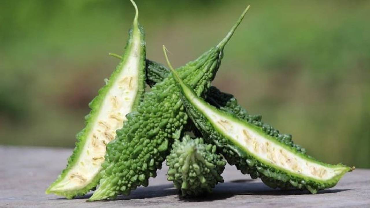 ಮಳೆಗಾಲದಲ್ಲಿ ಹಾಗಲಕಾಯಿ: ಉಪಯೋಗವೇನು?