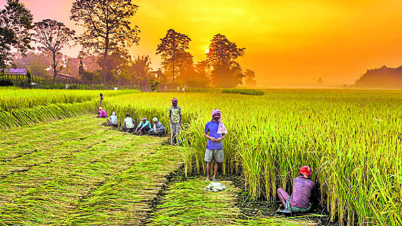 ಕೃಷಿ, ಹೈನುಗಾರಿಕೆ ಕ್ಷೇತ್ರಕ್ಕೆ ಬಜೆಟ್‌ನಲ್ಲಿ ಸಿಕ್ಕಿದ್ದೇನು?