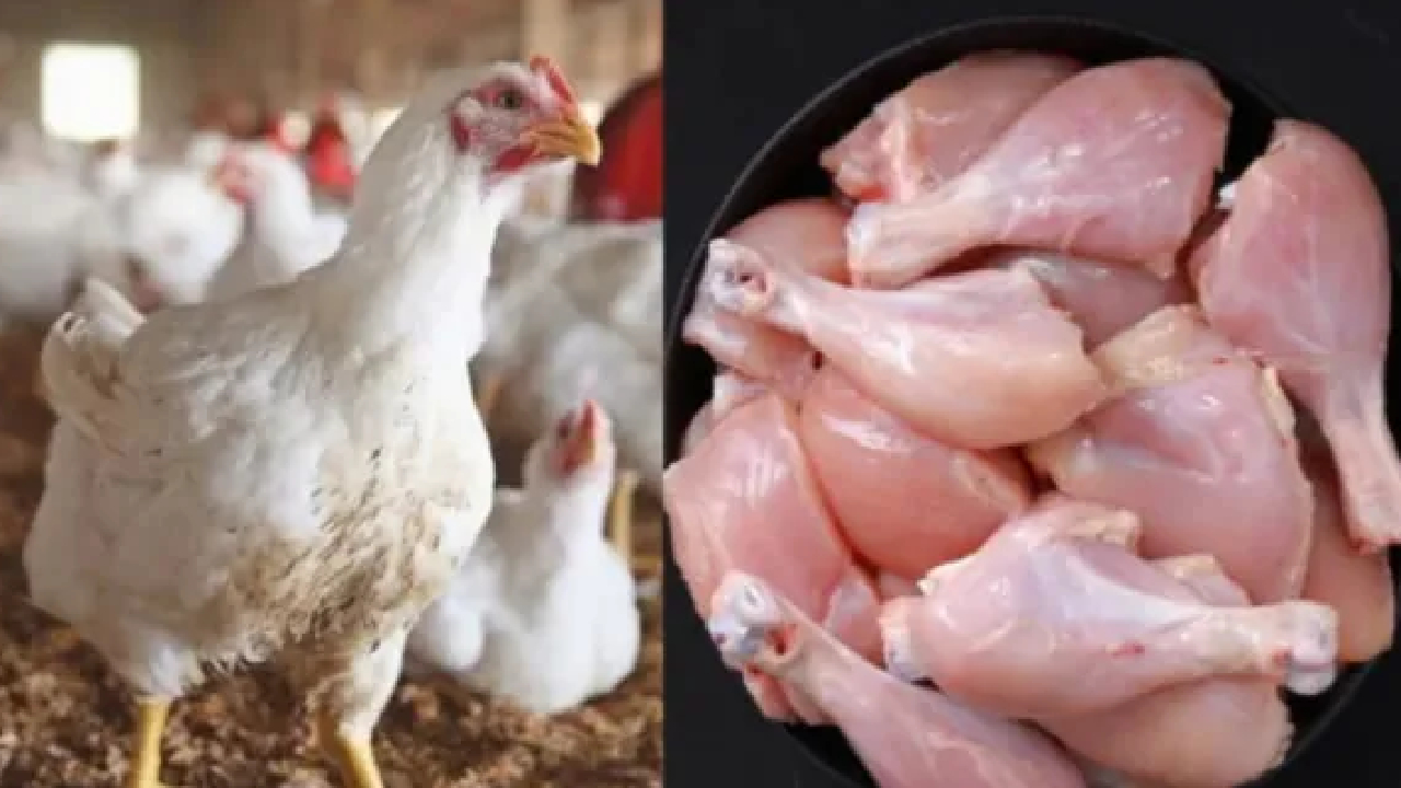 ಕೋಳಿ ಮಾಂಸದ ಬೆಲೆಯಲ್ಲಿ ಭಾರೀ ಏರಿಕೆ!