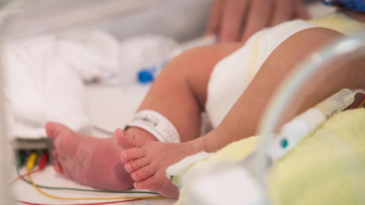 ನರ ಬೆಳವಣಿಗೆಯ ಸಮಸ್ಯೆಗಳು: ಪತ್ತೆ ಮತ್ತು ಪರಿಹಾರವೇ ಯಶಸ್ಸಿನ ಕೀಲಿಕೈ...!