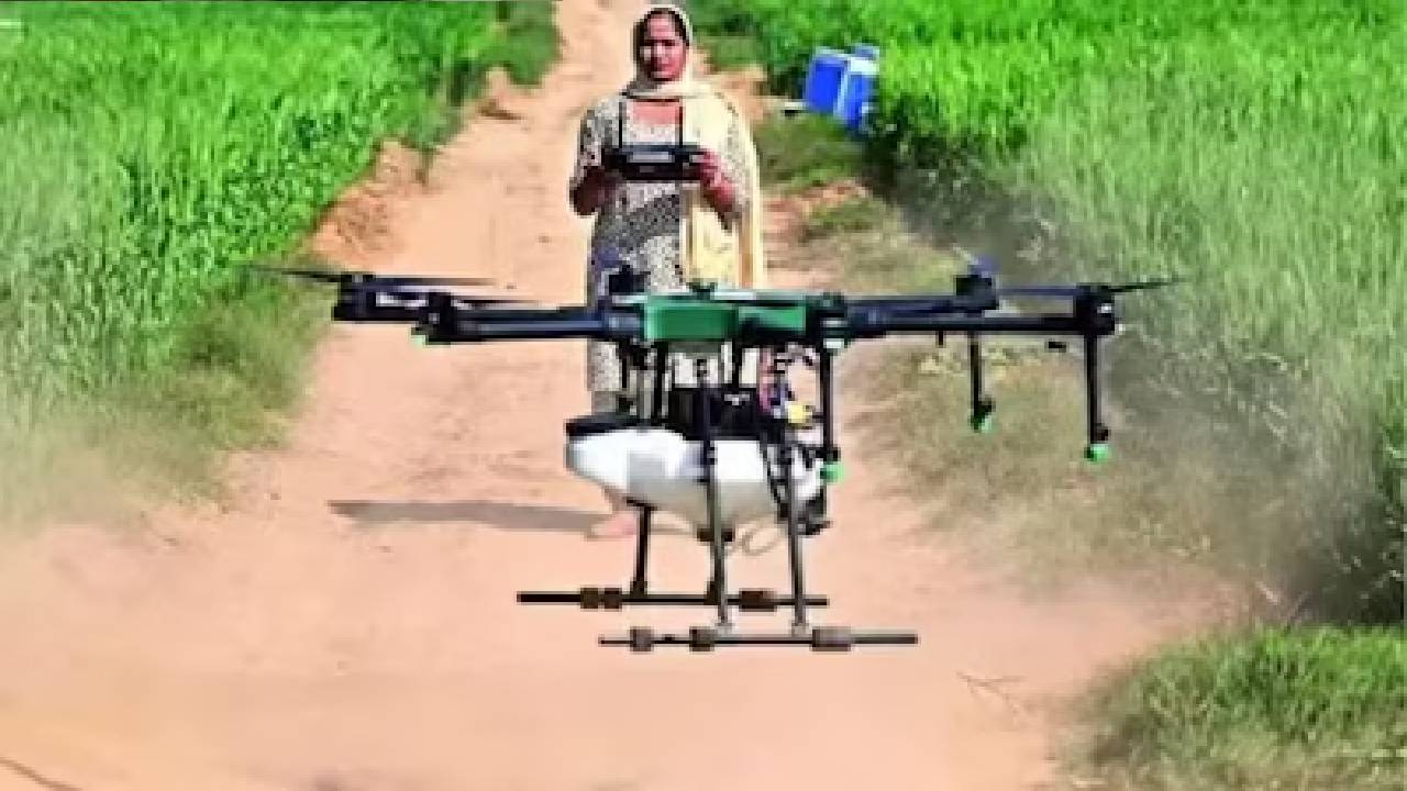 ಡ್ರೋನ್‌ ಮೂಲಕ ಹಂದಿಗಳನ್ನು ಸಾಗಾಟ ಮಾಡಿ ಇಡೀ ಊರಿಗೆ ಪವರ್‌ ಕಟ್‌ ಮಾಡಿಸಿದ ರೈತ! ಏನಿದು ವೈರಲ್‌ ಸ್ಟೋರಿ