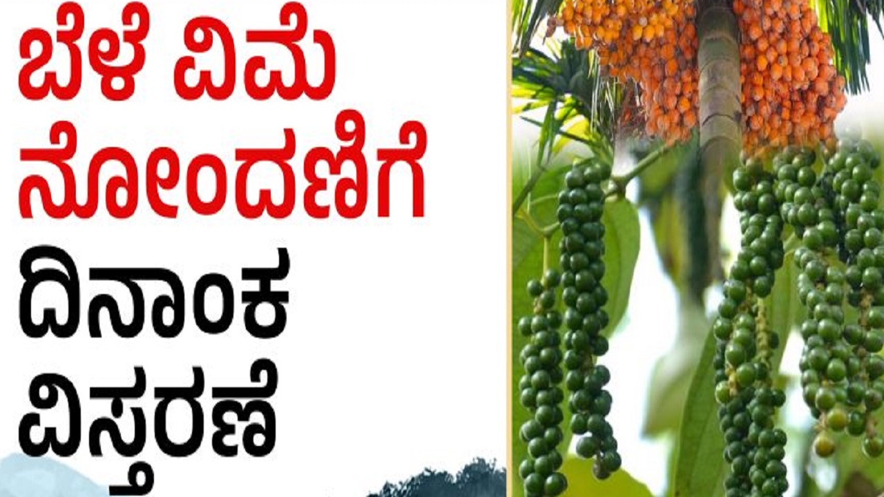 ಬೆಳೆ ವಿಮೆ ನೋಂದಣಿಗೆ ಅವಧಿ ವಿಸ್ತರಣೆ