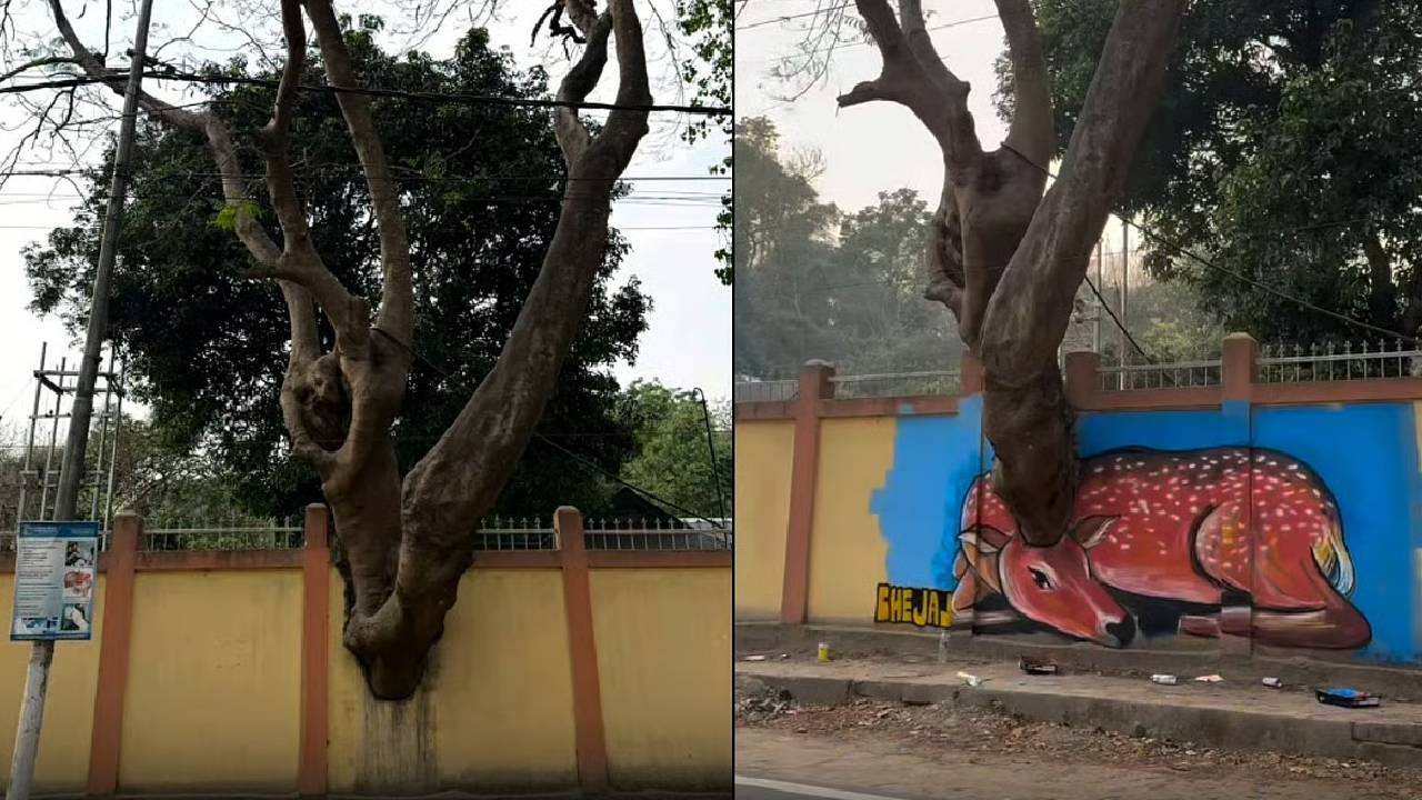 ಹಾನಿಯಾದ ಗೋಡೆಯನ್ನೇ ಭಿತ್ತಿಚಿತ್ರವನ್ನಾಗಿಸಿದ ಕಲಾವಿದ