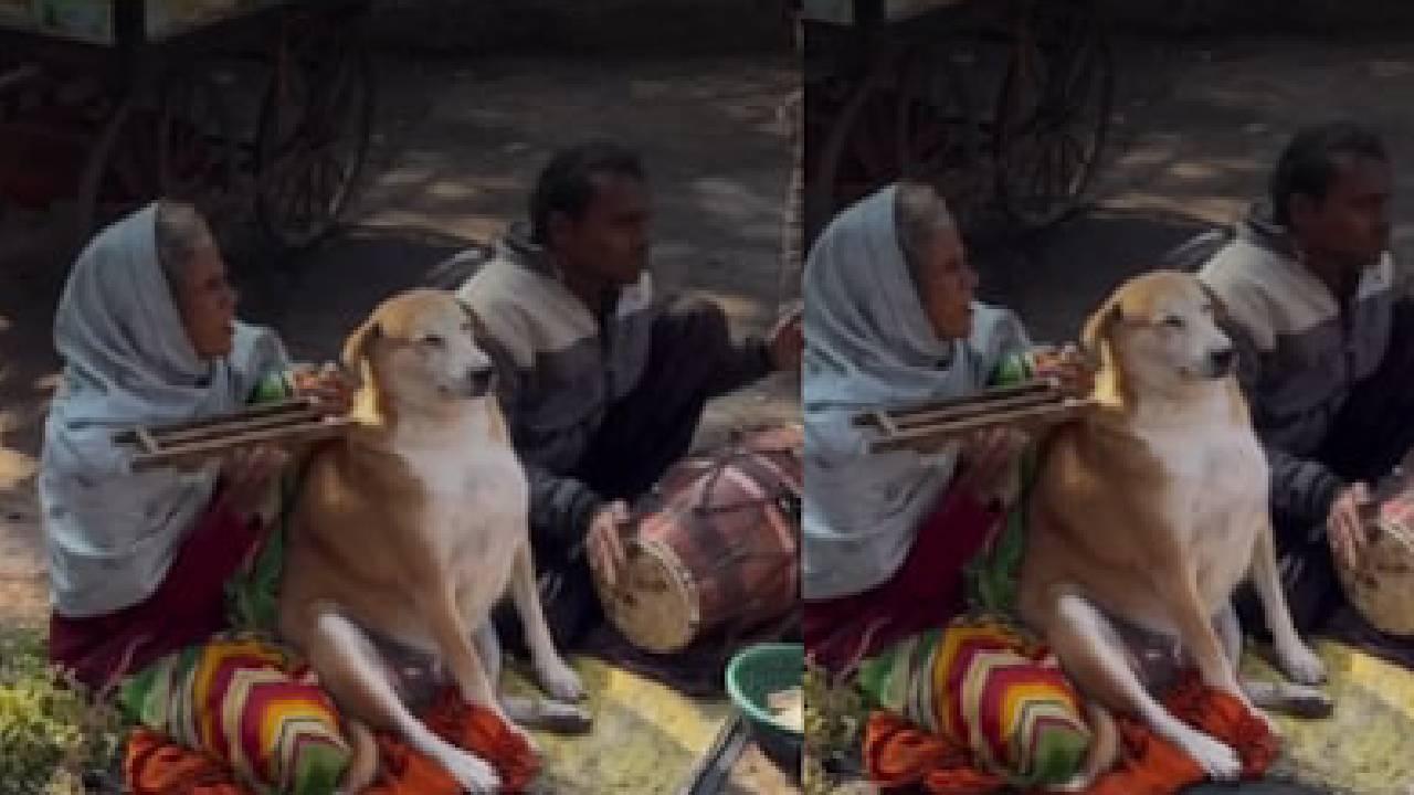 ಭಜನೆಯನ್ನು ಆಲಿಸಿ ಎಲ್ಲರ ಮನಗೆದ್ದ ನಾಯಿ: ಕ್ಯೂಟ್ ವಿಡಿಯೊ ಇಲ್ಲಿದೆ