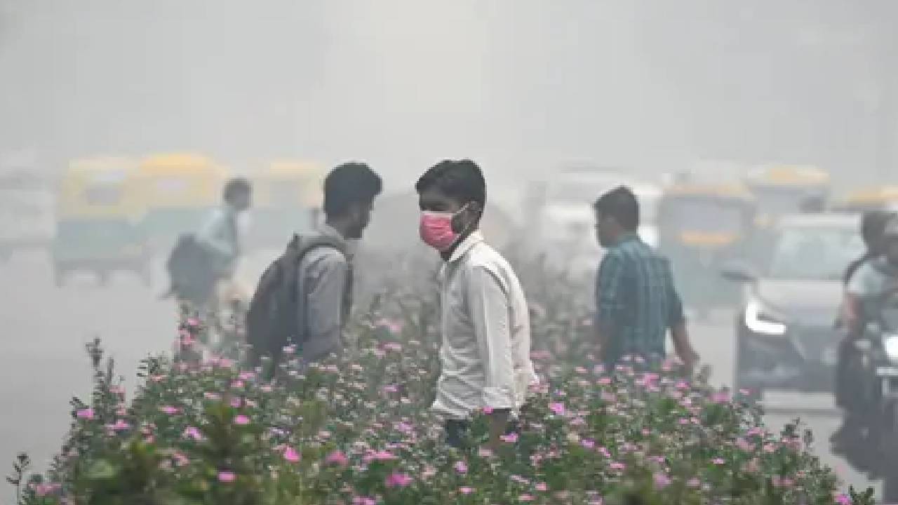 'ಮೊದಲು ಕಾರಣಗಳನ್ನು ಗುರುತಿಸಿ'; ದೆಹಲಿ ವಾಯು ಮಾಲಿನ್ಯದ ಬಗ್ಗೆ ಸುಪ್ರೀಂ ಕೋರ್ಟ್ ತರಾಟೆ